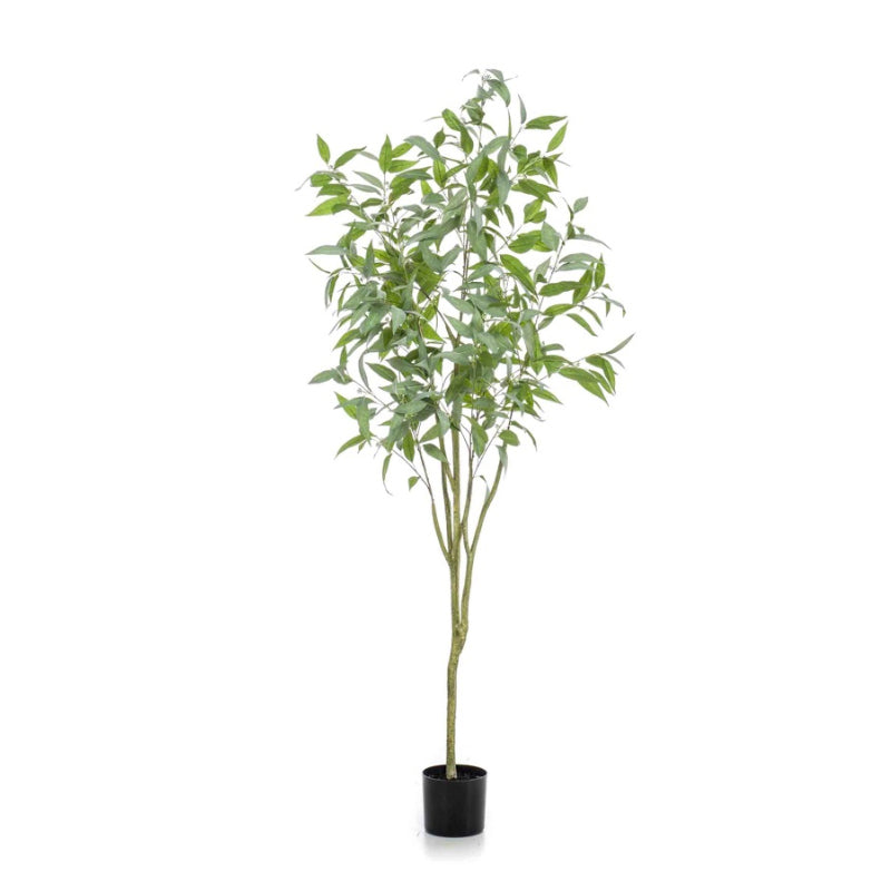 Plante artificielle Eucalyptus Globulus arbre 195 cm