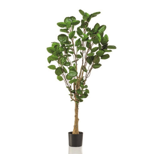 Kunstplant Polyscias boom 150 cm